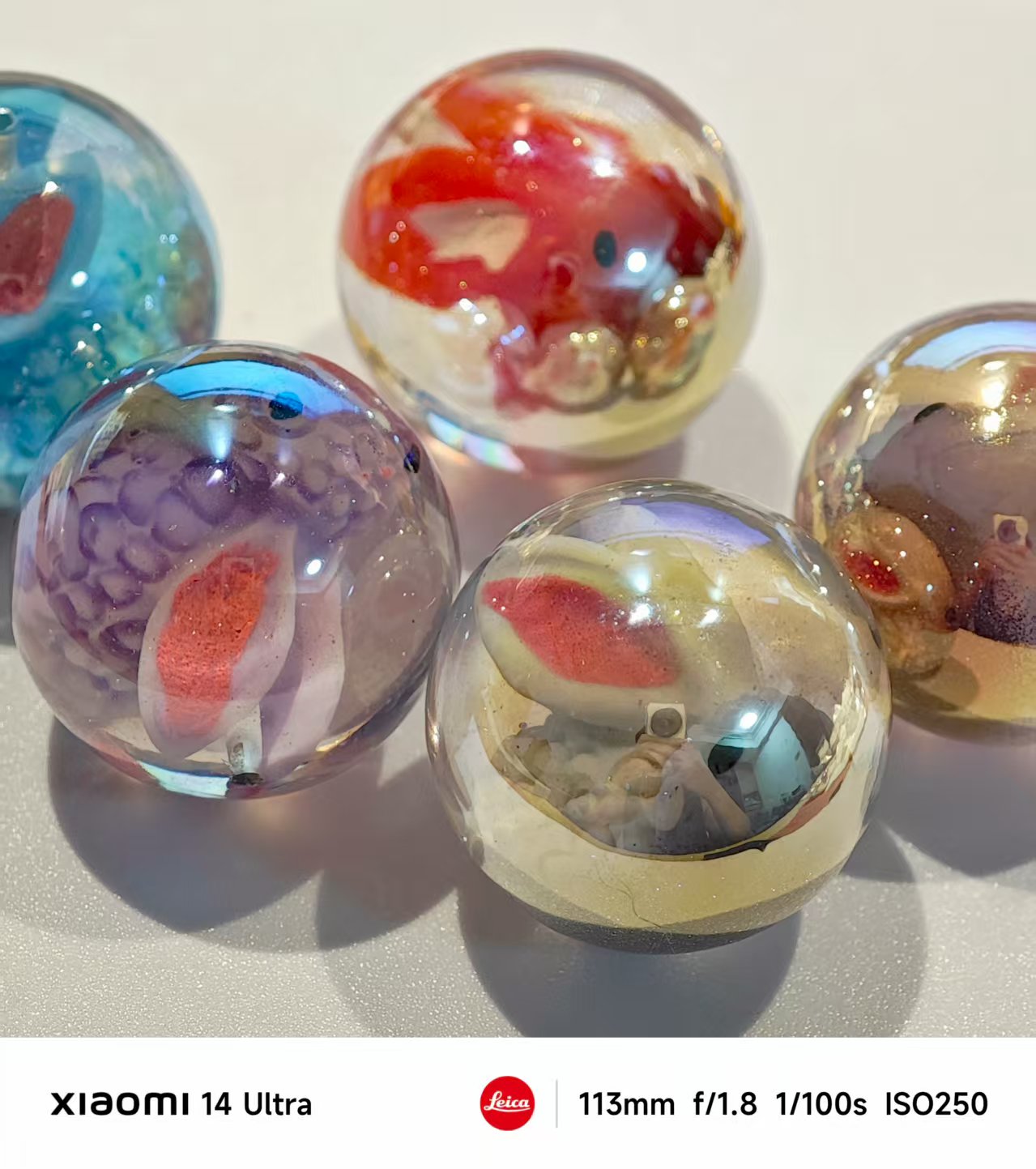 AJ412 【5pcs】 Jumbo 25mm Rabbit Beads