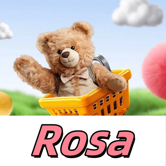 ROSA -pending payment($-85.1)