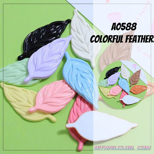 B566 Colorful feathers