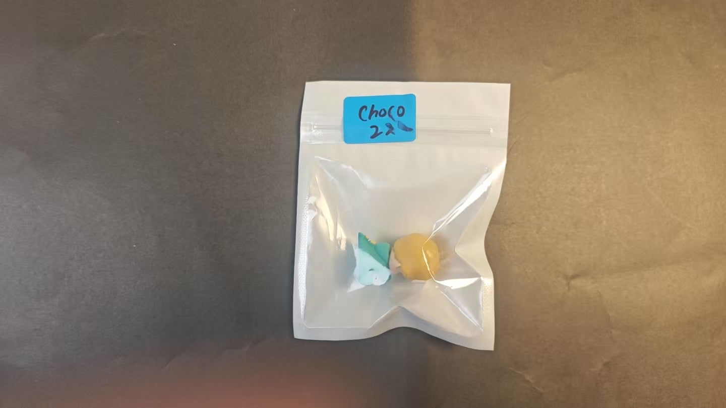 CHOCO -決済リンク