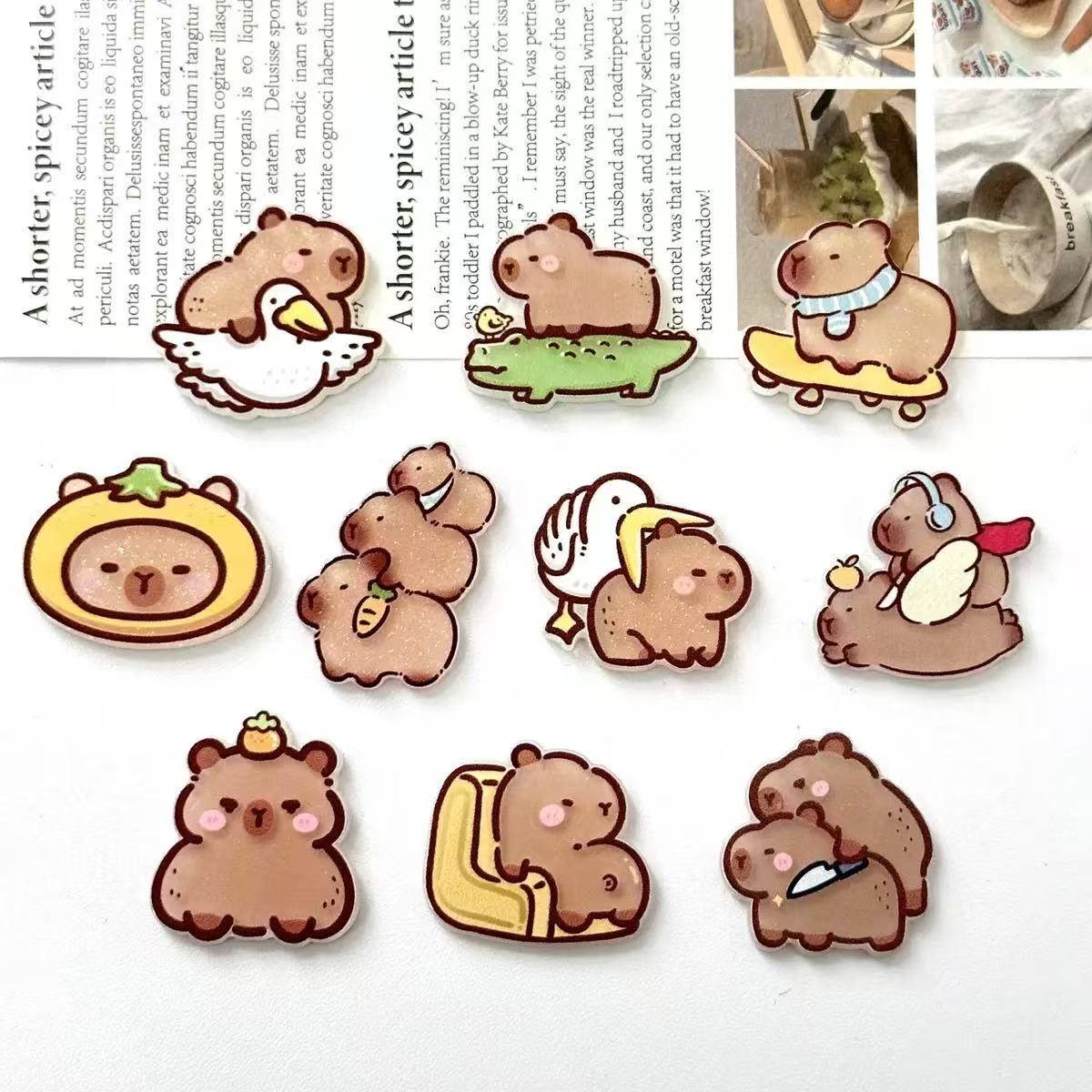 Yv040【presale】Kapibala  acrylic