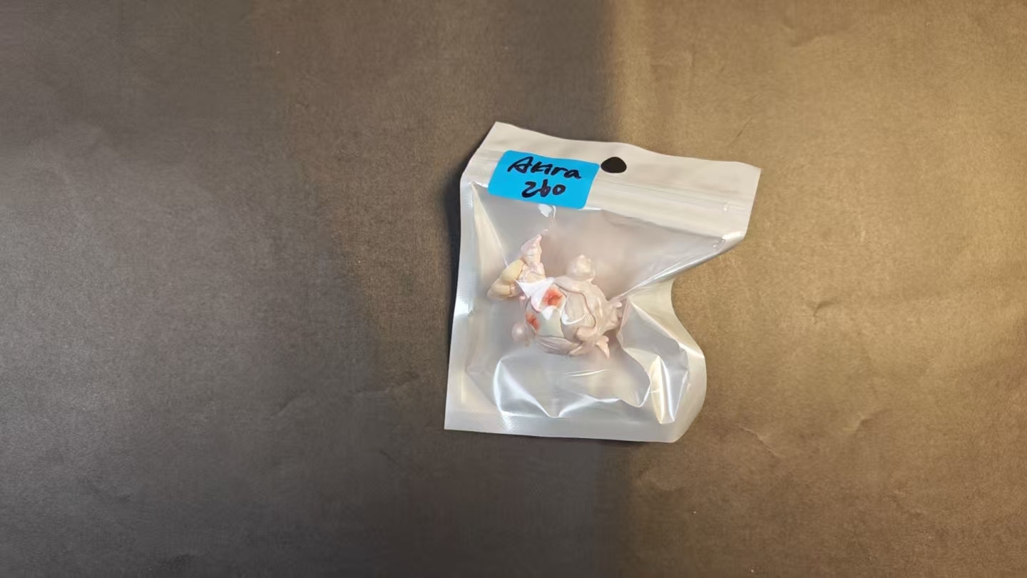 akira -決済リンク