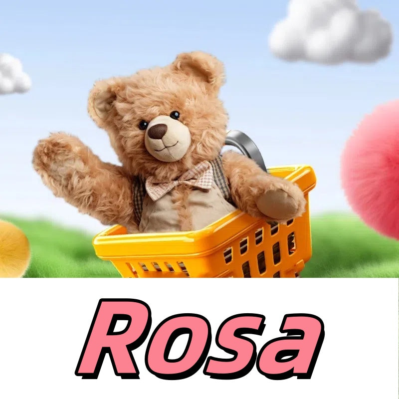 ROSA -pending payment（$-112.33）