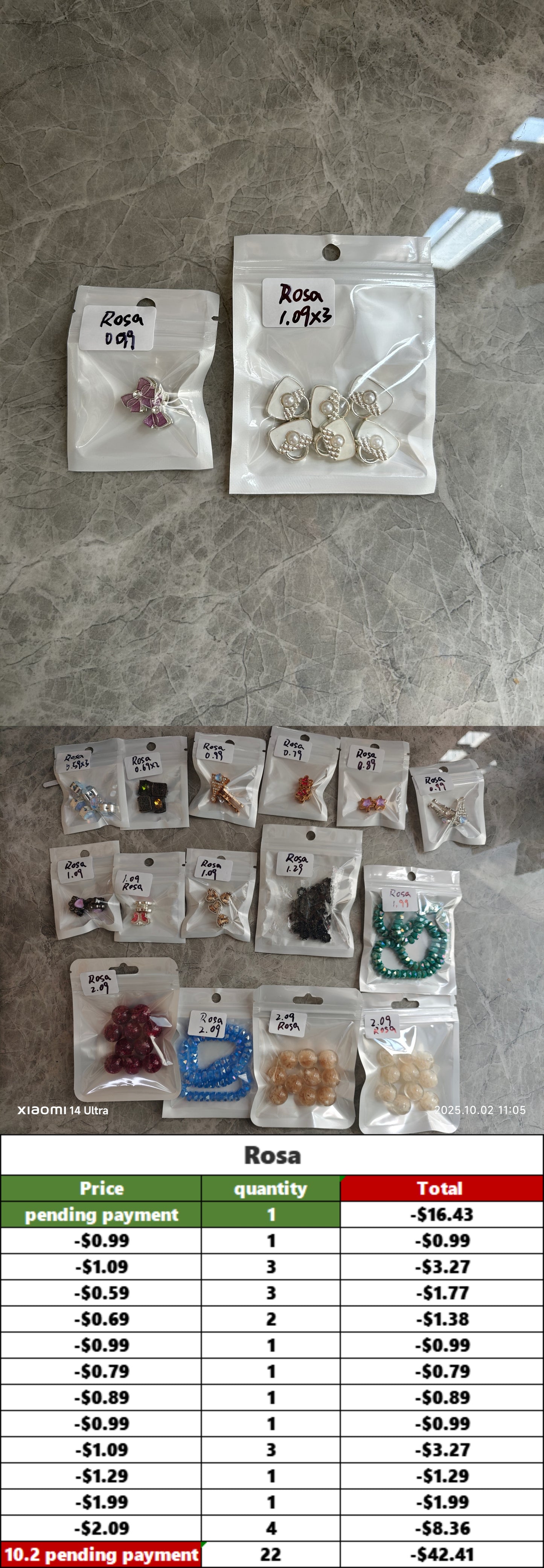 ROSA -pending payment（$-112.33）